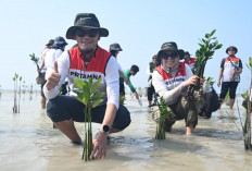 Dukung Energi Berkelanjutan, Pertamina Drilling Tanam 800 Mangrove di Hari Lingkungan Hidup 2026