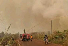 444 Hektare Lahan Terbakar di Ogan Ilir, 131 Titik Karhutla Terjadi Sejak Maret 2026