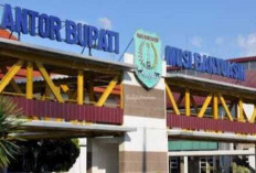 6 Pejabat Lolos Seleksi Administrasi dan Rekam Jejak, Siapa Paling Berpeluang Duduki Kursi Sekda Muba?