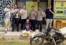 Curi 700 Kilogram Jeruk, Petani di Muara Kuang Ditangkap Polisi, Uangnya Dipakai Judi Online