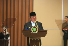 Viral Video Warga Sumsel Diduga Terlantar di Kamboja, Herman Deru Pastikan Kebenarannya