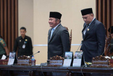 Penguatan BUMD untuk PSN, Gubernur Sampaikan Raperda Perubahan PT Sumsel Energi Gemilang