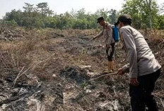 Kebakaran di Jalinteng Baturaja, PLN Bergerak Cepat Amankan Jaringan Listrik