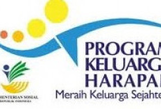 Bansos 2026: Cara Cek Desil Pakai KTP Melalui NIK DTSEN di Link cekbansos.kemensos.go.id