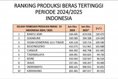 DATA TERBARU 2026 : Ini 10 Kabupaten Penghasil Beras Terbanyak di Indonesia, Banyuasin Nomor Berapa ?