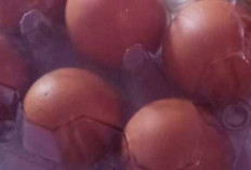 Benarkah Telur Menyebabkan Bisulan? Ini Penjelasan Medisnya