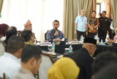 Bupati OKI Suarakan Kesejahteraan Guru PPPK Paruh Waktu ke Komisi X DPR RI