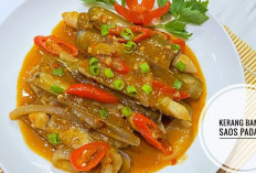 Kerang Bambu Saus Padang Kian Digemari, Perpaduan Cita Rasa Pedas dan Gurih Tarik Minat Pecinta Kuliner