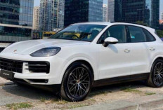 Porsche Cayenne Turun Harga Gila-Gilaan! Selisih Hampir Rp 1,2 Miliar!