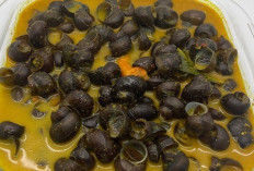 Sensasi Pedas yang Menggoda, Tutut Kuah Pedas Jadi Primadona Kuliner Nusantara