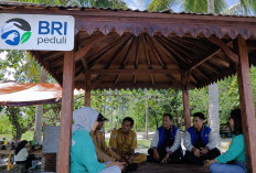 Dari Potensi Lokal ke Prestasi Nasional, Desa BRILiaN Sausu Tambu Perkuat Ekonomi Pesisir