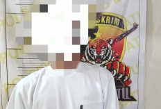 Polsek Tanjung Batu Ringkus Pemuda 22 Tahun di Lubuk Keliat, Ini Kasusnya