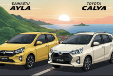 Ayla dan Calya Jadi Primadona Kaum Wanita, Ini Alasan Mereka Banyak Dipilih