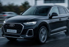 Harga Tembus Rp1 Miliar, Audi Q3 Mana yang Paling Cocok untuk Orang Indonesia? 