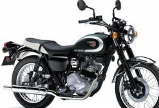 Kawasaki W230 2026, Motor Klasik Modern dengan Mesin 233 cc yang Nyaman untuk Harian