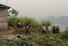 Sisir Kampung Keramat, 40 Personel Gabungan Diturunkan, Ini Hasilnya!