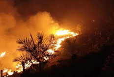 Akses Sulit dan Minim Air, 3 Hektare Lahan Terbakar 