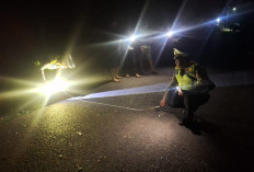 Dua Pemuda Tewas dalam Tabrakan Maut Motor dan Pikap di Rantau Panjang Ogan Ilir