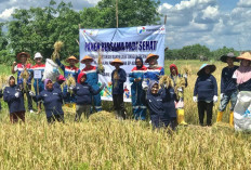 Pertamina EP Adera Field dan PHR Zona 4 Kembangkan Program PERMATA, Angkat Ekonomi Warga Desa Pengabuan PALI