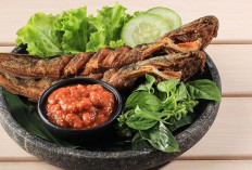 Pecel Lele, Kuliner Kaki Lima yang Tetap Digandrungi Meski Harga Bahan Pokok Naik