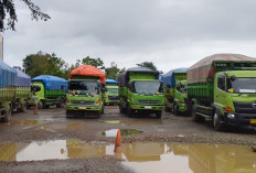 40 Truk Angkutan Batu Bara Dikandangkan di Terminal Tipe B Petanang Lubuklinggau