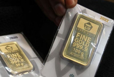 Update Harga Emas Antam 12 Januari 2026: Melonjak Tajam Rp29.000 Menjadi Rp2,631 Juta per Gram !  