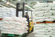 Siaga Hadapi Kemarau, Pusri Pastikan Stok Pupuk Aman 