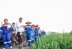 Desa Energi Berdikari Keliki Jadi Contoh Nasional, Pertamina Dorong Ekonomi Hijau Masyarakat