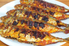 Lezat dan Bergizi, Ikan Kembung Bakar Jadi Pilihan Kuliner Favorit Masyarakat