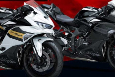 Kawasaki Ninja ZX-4R Resmi Meluncur, Harga Cuma Segini untuk Mesin 4 Silinder?