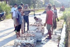 Harga Karet Turun, Petani di Lubuk Raja Minta Kemudahan Akses Pupuk