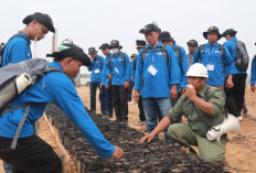 Produktivitas Sawit Rakyat OKU Tak Cukup Andalkan Luas Lahan, Kompetensi Pekebun Jadi Kunci