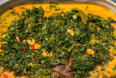 Gulai Daun Singkong, Hidangan Sederhana yang Kaya Rasa dan Tradisi