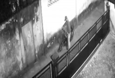Terekam CCTV, Pencuri Gondol Motor Angkutan Galon dan Kayu Milik Warga Wira Karya