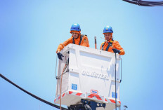 Sistem Kelistrikan Nasional Andal, PLN Berhasil Jaga Layanan Momen Pergantian Tahun