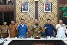 Satlinmas Segera Punya Organisasi Nasional, Herman Deru Usulkan Deklarasi di Sumsel.