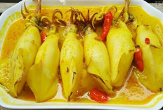 Tumis Cumi Bumbu Gulai, Inovasi Kuliner Nusantara yang Memanjakan Lidah Pecinta Makanan Laut