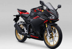Deretan Motor Sport Honda dan Spesifikasinya, dari 150 cc hingga 1.000 cc