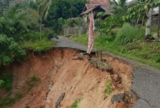Jalan Lingkar di Desa Peninjauan Amblas Akibat Longsor