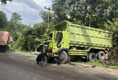 Tabrakan Beruntun di Jalintim Km 170 Simpang Tungkal, Begini Kondisi Korban