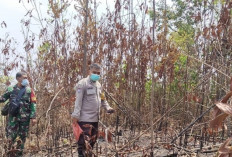 Sisir Perbatasan Cegah Karhutla