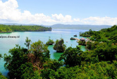 Pemekaran Wilayah Sulawesi Tenggara: 10 Fakta Menarik Kabupaten Muna di Balik Wacana Pembentukan Kota Raha