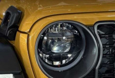 Bukan Wrangler Biasa, Jeep Rubicon Goldilocks Ini Harganya Rp2,4 Miliar. 