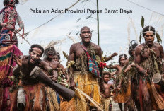Pemekaran Wilayah Papua Barat Daya: Wacana Pembentukan Kabupaten Raja Ampat Selatan Perjuangkan Pembangunan