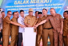 Hingga Dorong Kemandirian Ekonomi Keluarga dan Perkuat Akses Pendidikan