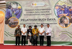Sawit Rakyat OKU Punya Ruang Tumbuh, Tumpang Sari Didorong Jadi Penopang Pendapatan