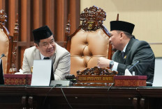 DPRD Sumsel Bentuk Pansus Optimalisasi Pendapatan Daerah, Wagub Cik Ujang Dukung Penguatan Fiskal