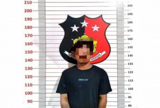 Kepergok Panen Ilegal, Pencuri Sawit PT Minanga Ogan Diringkus Polisi