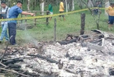 Kebakaran Pondok Kebun di Babat Toman Tewaskan Ayah dan Anak 