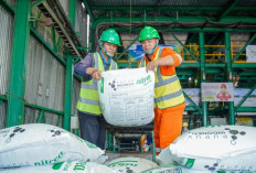 Perkuat Ketahanan Pangan, Pusri Jamin Ketersediaan Pupuk di Sumbar